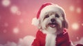 Dog Dressed As Santa With A Fluffy Red Coat And Beardpastel Light Purple And Light Crimson Backgroun Royalty Free Stock Photo