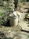 Dog drinking water in bucket.