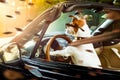 Dog drivers license  driving a car Royalty Free Stock Photo