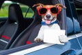 Dog drivers license Royalty Free Stock Photo