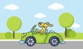 Dog driving car Royalty Free Stock Photo