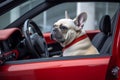 Dog driving car. Generate AI Royalty Free Stock Photo