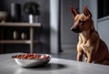 Dog with dry food bowl. Generate ai Royalty Free Stock Photo