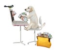 Dog earns rubles from laptop 2 Royalty Free Stock Photo