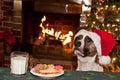 Dog Eats Santas Cookies. Royalty Free Stock Photo