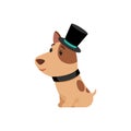 Dog in elegant top hat flat vector illustration. Cute puppy in old fashioned costume cartoon character. Royalty Free Stock Photo