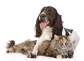 The dog embraces a cat. looking at camera. Royalty Free Stock Photo