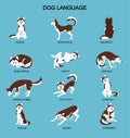 Dog emotions meaning with cute haski dog. Set of dog expressions