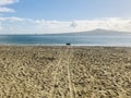 Dog at the end of the wheel trace at mission bay. Royalty Free Stock Photo