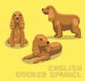 Dog English Cocker Spaniel Cartoon Vector Illustration