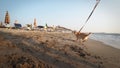 Dog enjoy playing on beach. Royalty Free Stock Photo