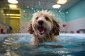Dog Enjoying Gentle Hydrotherapy Session In Grooming Facility. Generative AI