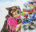 The dog entangled in colorful tinsel
