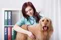 Dog examined by female vet Royalty Free Stock Photo