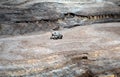 Dog Explores the Arkansas Grand Canyon Royalty Free Stock Photo