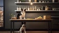 a dog exploring a modern minimalist kitchen, showcasing shelves neatly organized with boxes of delicious dog snacks in