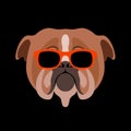 Dog face head glasses vector illustration flat style front
