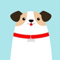 Dog face head. White puppy pooch. Red collar bone. Cute cartoon kawaii funny baby character. Flat design style. Help homeless