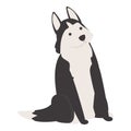 Dog face icon cartoon vector. Siberian husky