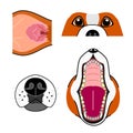 Dog face parts close up set Royalty Free Stock Photo