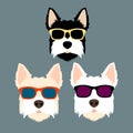 Dog face sunglasses vector illustration style flat