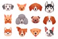 Dog faces emoticons. Breed dogs puppy heads, draw happy pets character cute face canine head breeds husky beagle Royalty Free Stock Photo