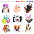 Dog with fashion accessories. Trendy dogs breed set. Pets shop background. cute domestic animal