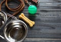 Dog feeding and care concept background. Pet care and training concept. Royalty Free Stock Photo