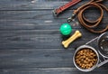 Dog feeding and care concept background. Pet care and training concept. Toys, balls, bones, collar, a leash for playing Royalty Free Stock Photo