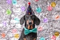 Dog in festive cap, bow tie, celebrates a birthday and is sad because of old age Royalty Free Stock Photo