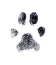 Dog fingerprint Royalty Free Stock Photo