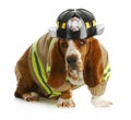 Dog firefighter Royalty Free Stock Photo