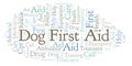 Dog First Aid word cloud, made with text only. Royalty Free Stock Photo