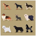 Dog flat icons set Royalty Free Stock Photo