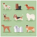 Dog flat icons set Royalty Free Stock Photo