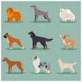 Dog flat icons set Royalty Free Stock Photo