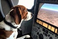 a dog in a flight simulator, learning how to fly a plane Royalty Free Stock Photo
