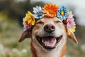 Dog with flower crown Royalty Free Stock Photo
