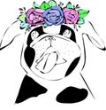 Dog with flower. Hand drawn illustration pug