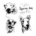 Dog with flower ink set