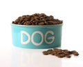 Dog food Royalty Free Stock Photo