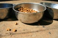 Dog Food Royalty Free Stock Photo