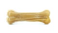 Dog food bone for chewing on white background.