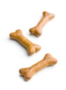 Dog food. bone snack.