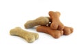 Dog food Bones type yellow, gray, orange