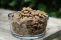 Dog Food in a Bowl Kibble Pet Food Nutrition