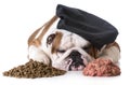 Dog food debate - kibble or raw Royalty Free Stock Photo