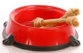 Dog food dish and bones Royalty Free Stock Photo