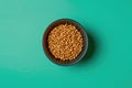 Dog food in green bowl on wooden table