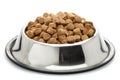 Dog Food Royalty Free Stock Photo